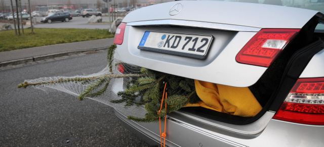 Weihnachtsbaumtransport: Fünf Tipps für die sichere Fichtenfuhre