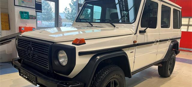 Sterne unterm Hammer bei S-TEC: Mercedes-Benz G-Klasse G 280 steht zum Verkauf