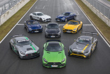 Mercedes-AMG GT: We are Family!: Sechs Richtige: Ein Überblick über die Mercedes-AMG-GT-Familie 