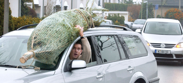 Ratgeber: So kommt der Weihnachtsbaum sicher mit dem Auto nach Hause