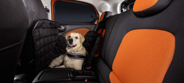 smart for dogs: Tag des Hundes am 5. Juni: Auf den Hund gekommen: smart bitte Bello zum Boarding