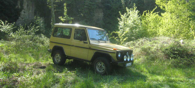 Auf-G-baut: Restauration eines  Mercedes G Baujahr 1980