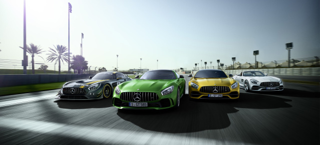 50 Jahre AMG: Halbes Jahrhundert Driving Performance: 50 Jahre Erfolgsgeschichte Mercedes-AMG 