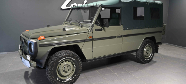 Sterne unterm Hammer: Mercedes-Benz G 300 GD: Auf der Jagd: Wolf 300 GD von Lorinser Classic